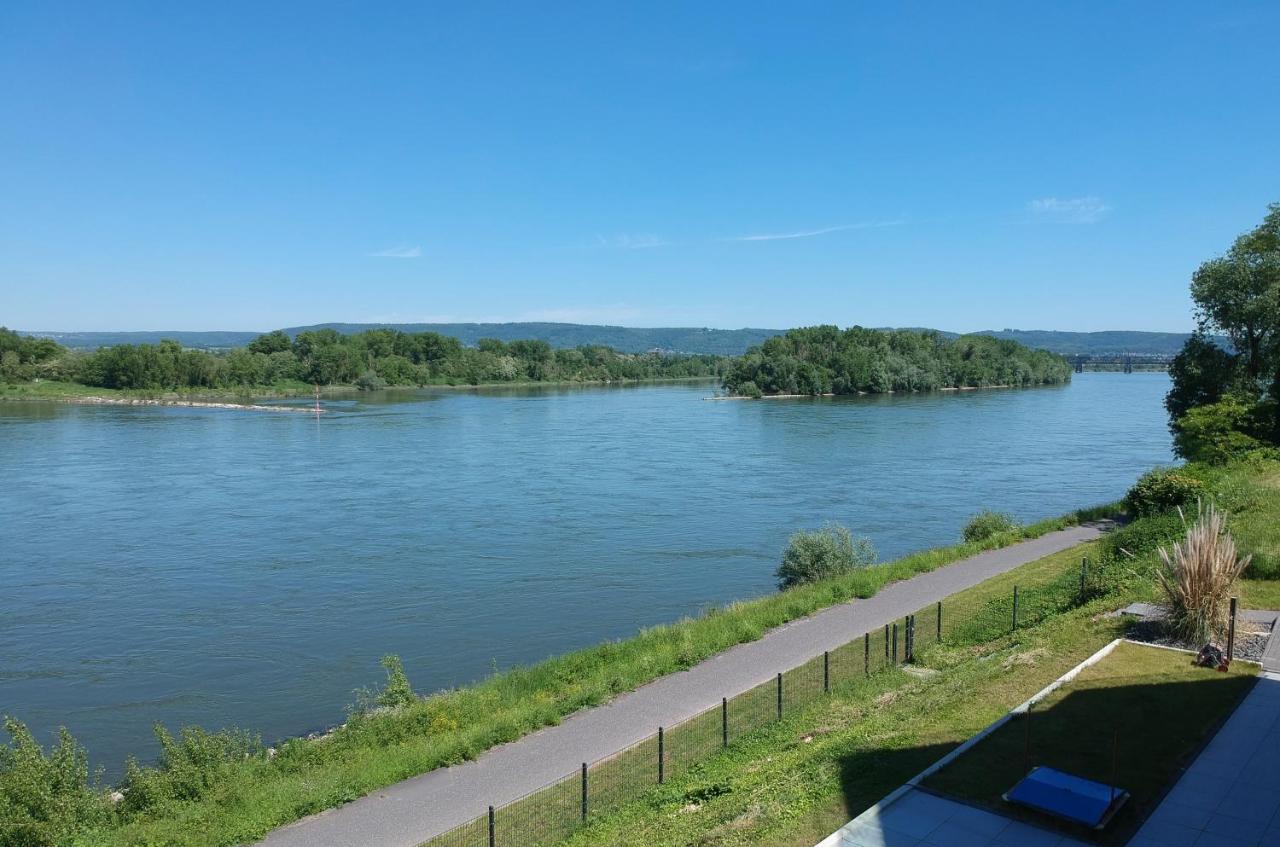 Ferienwohnung Rhein Lounge Urmitz Exterior foto